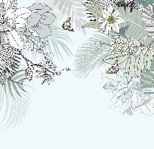 Trendy nature wallpaper water green plant