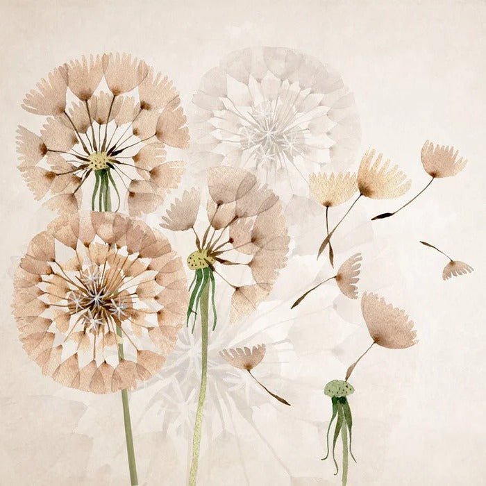 Dandelion flower wallpaper