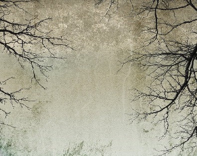 Enchanted Forest Wallpaper