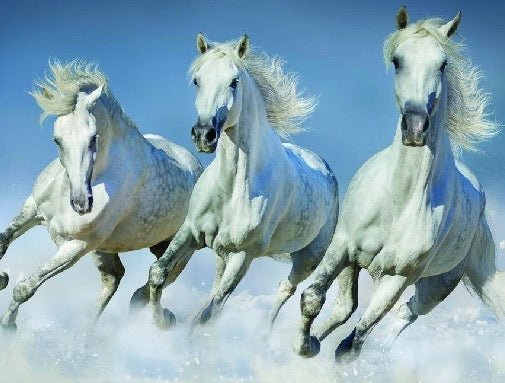 Snow White Horses Panoramic Wallpaper