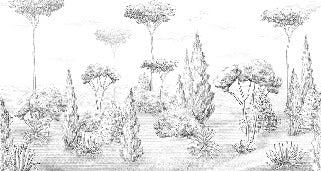 Panoramic antique forest wallpaper