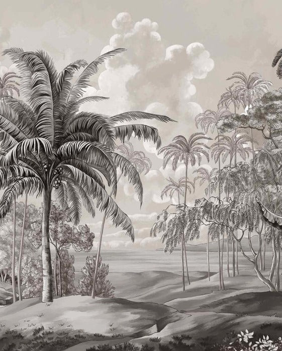 Black and white Sulawesi landscape wallpaper