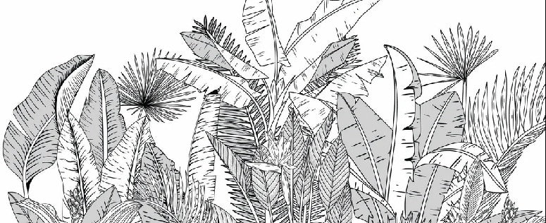 Panoramic black and white botanic leaf wallpaper
