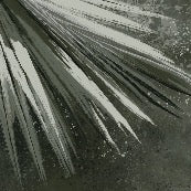 Panoramic retro palm green wallpaper