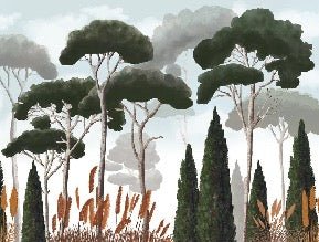 Custom wallpaper featuring cypress trees, pine trees, and pampas grass