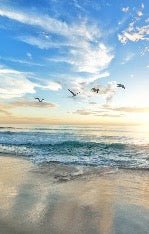 Papier peint salle de bain plage paradisiaque, XXL, tendance