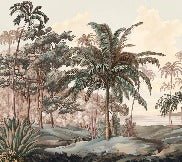 Landscape wallpaper Celebes terra