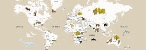 Children's French world map wallpaper beige