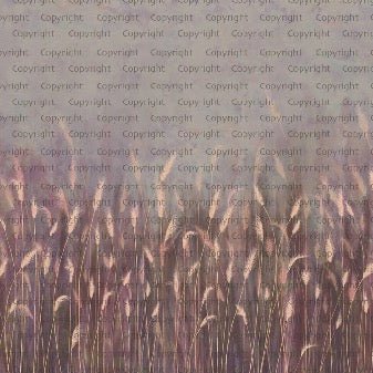 Wild grass panoramic pink wallpaper