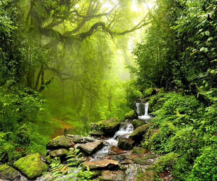 Cascade & Forest wallpaper