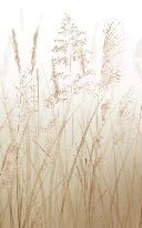 Papier peint fleur des champs de blé, XXL, tendance