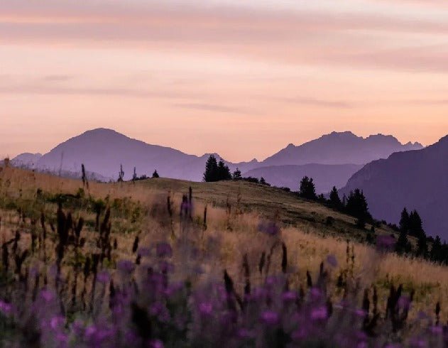 Wallpaper restaurant massif du Giffre