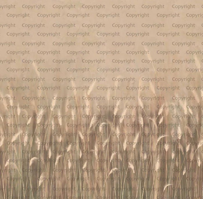 Beige panoramic wild grass wallpaper