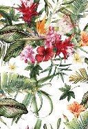 Tropical wallpaper & Colorful flowers