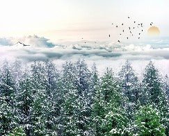 Panoramic non-woven wallpaper fir forest snow