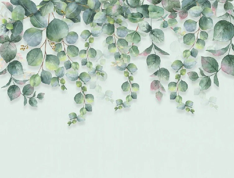 Eucalyptus plant wallpaper
