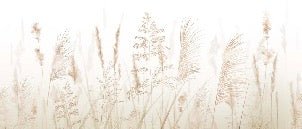 Wheat field flower wallpaper