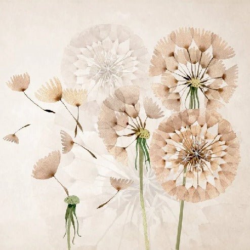 Dandelion flower wallpaper