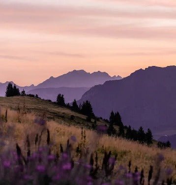 Wallpaper in the Massif du Giffre restaurant