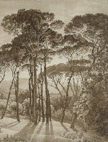 Amber Italian landscape panoramic wallpaper