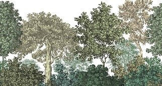 Landscape wallpaper forest engraving