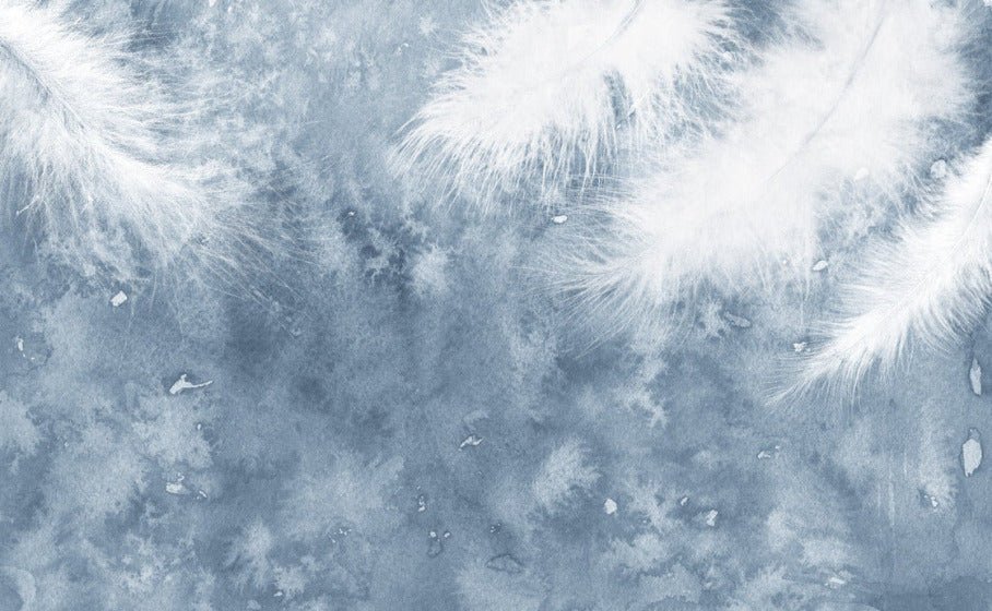 Plume Blanche wallpaper