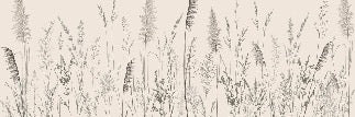Wild meadow panoramic wallpaper