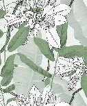 Bathroom wallpaper foliage nature green flower NB