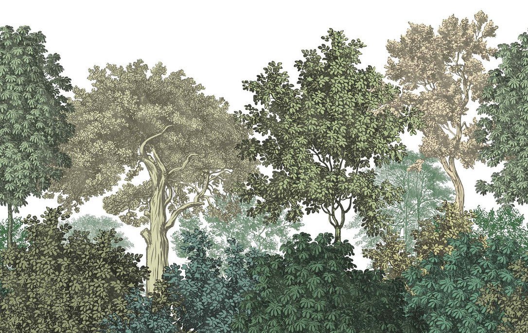 Forest landscape engraving wallpaper