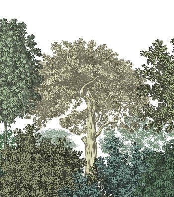 Forest landscape engraving wallpaper