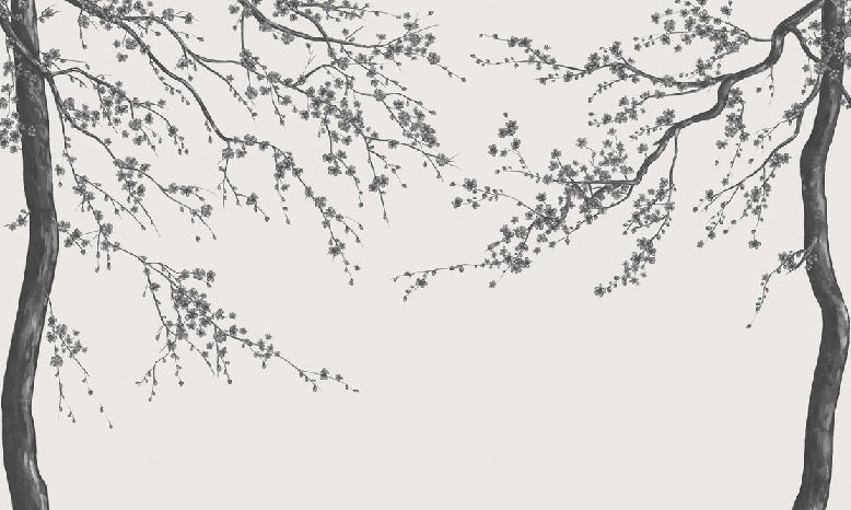 Sakura black and white panoramic flower wallpaper
