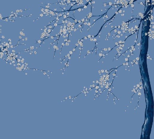 Sakura bluish flower panoramic wallpaper
