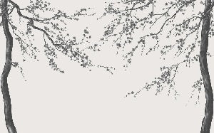 Sakura black and white panoramic flower wallpaper