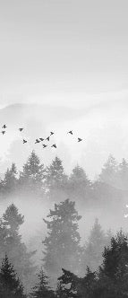 Mystic mountain mist wallpaper