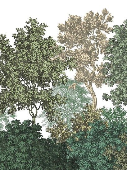 Landscape wallpaper forest engraving