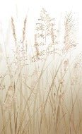 Beige wheat field flower toilet wallpaper