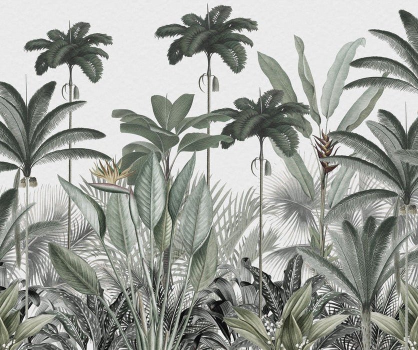 Panoramic jungle tree wallpaper