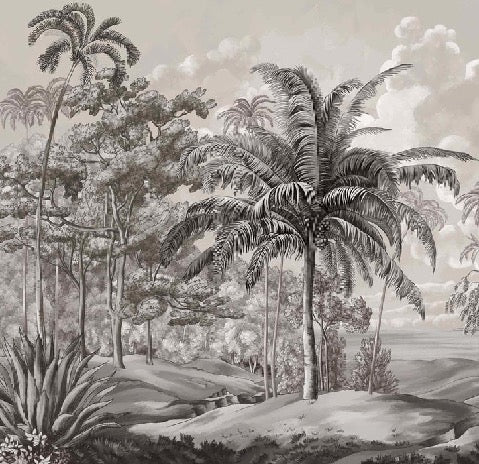 Black and white Sulawesi landscape wallpaper