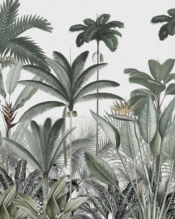 Panoramic jungle tree wallpaper