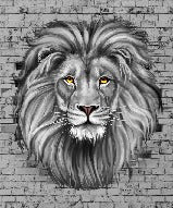 Majestic wild lion wallpaper