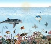 Sea animals wallpaper