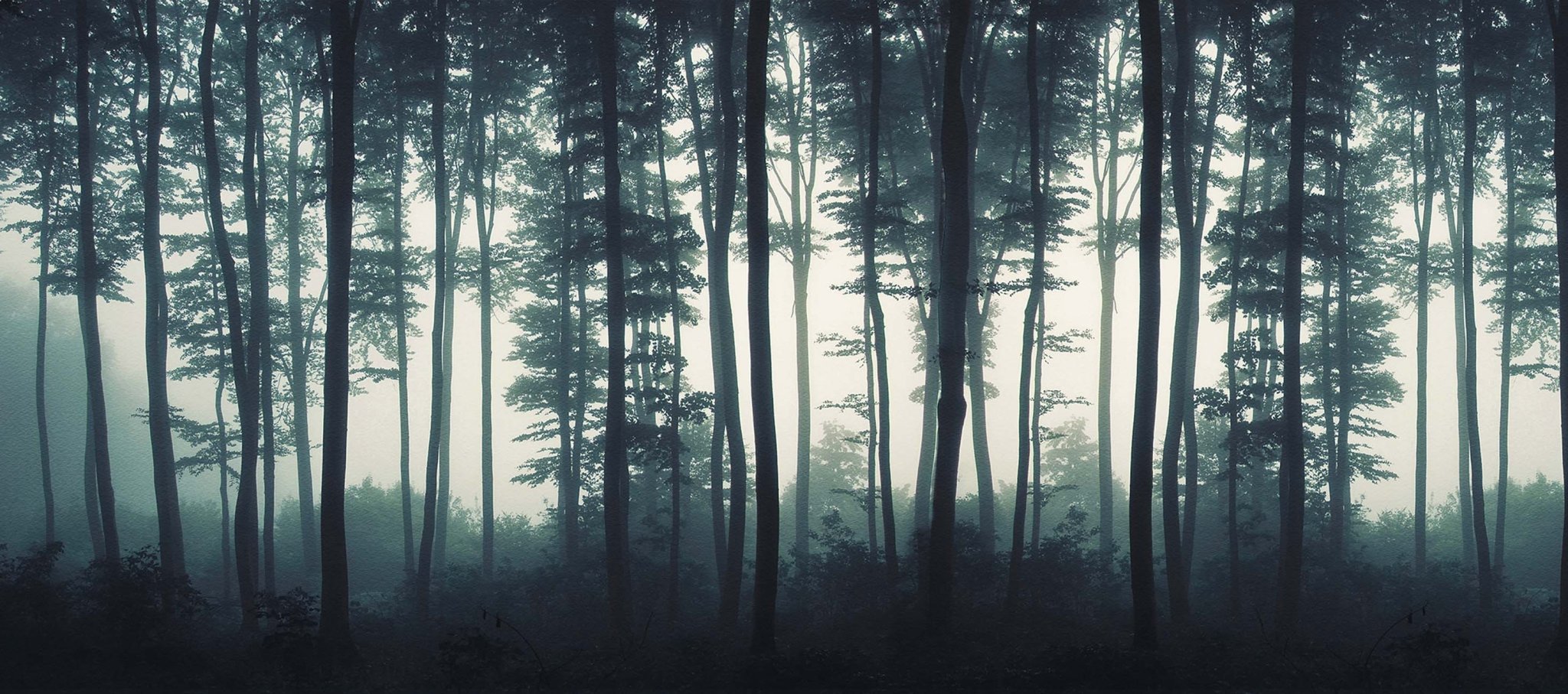 Papier peint Brume d'automne, XXL, tendance