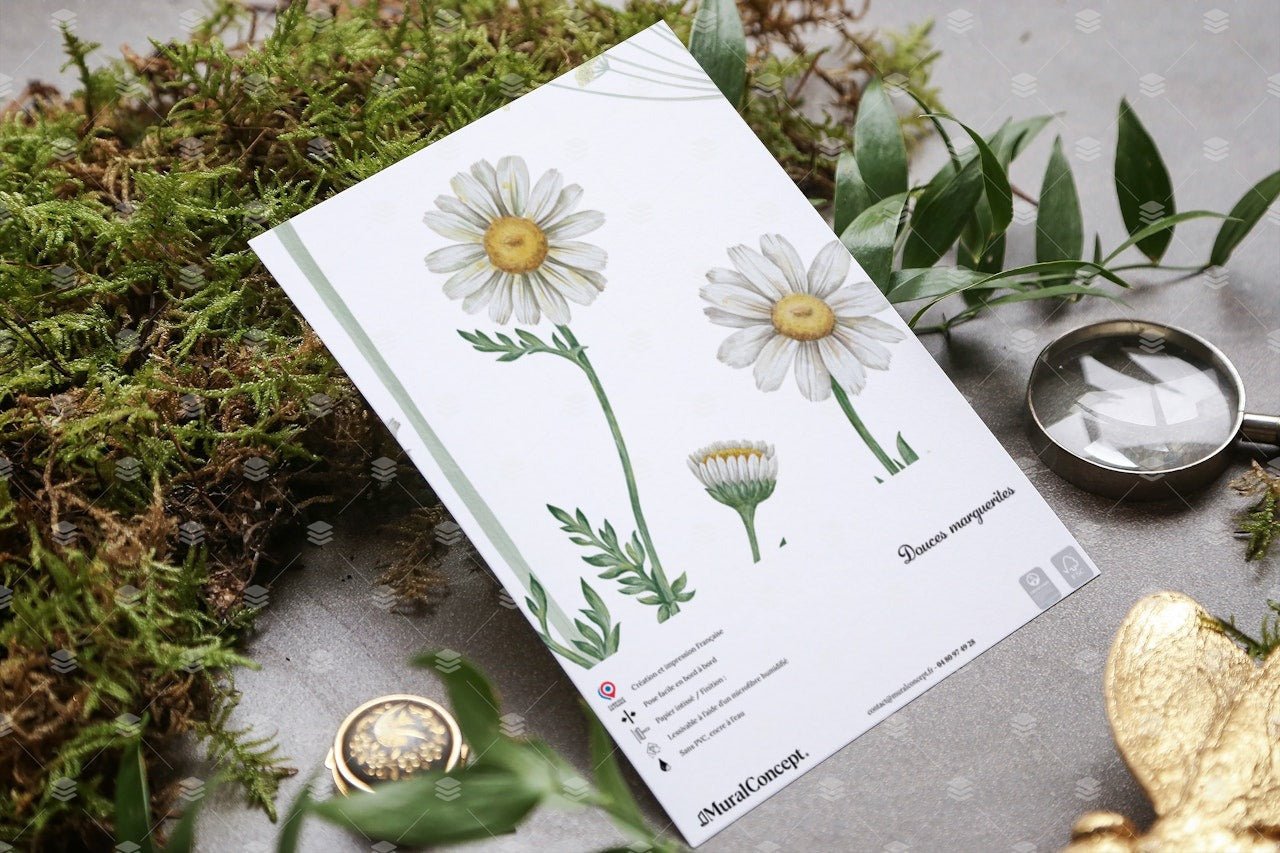 Affiches Murales Uniques pour Votre Décoration - MuralConcept