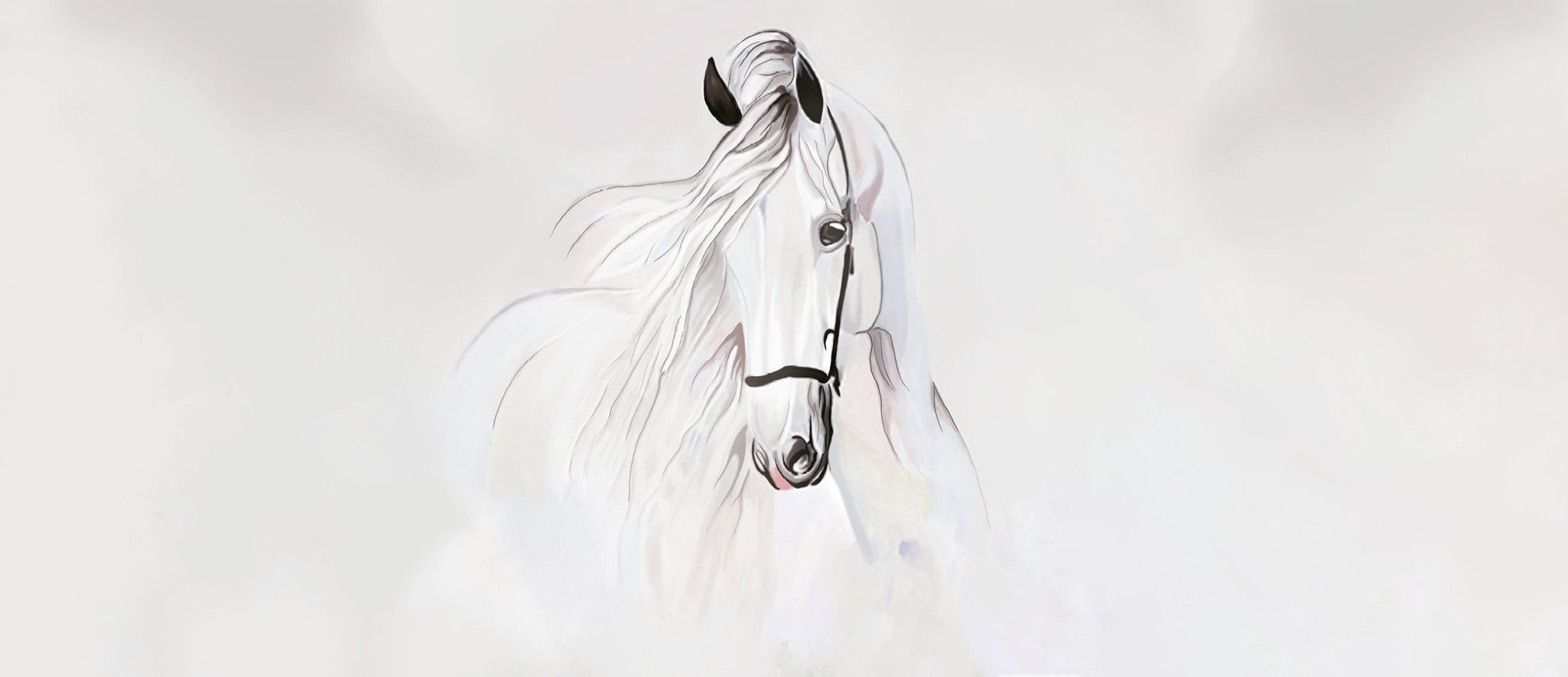 Papier peint chambre enfant étalon blanc, XXL, tendance