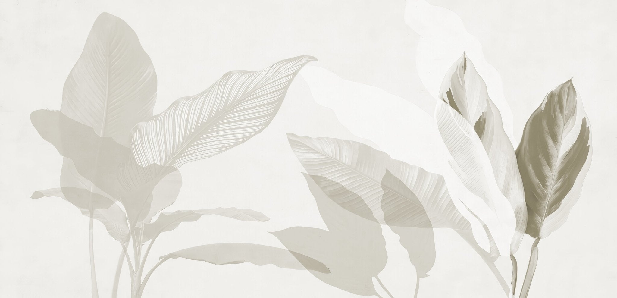 Papier peint feuillage moderne sépia, XXL, tendance