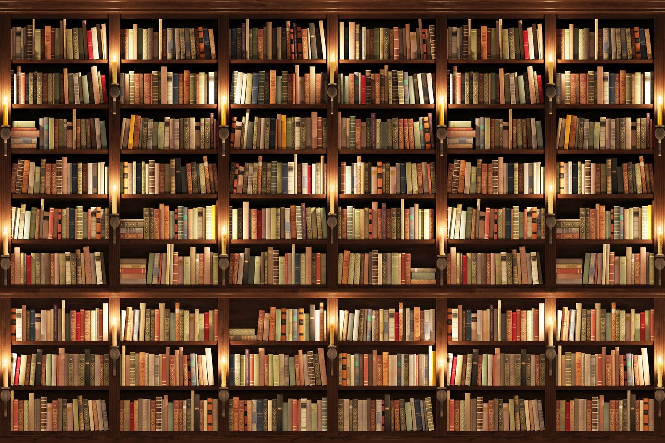 Papier peint trompe l'oeil Authentique Bibliothèque, mural concept, tendance