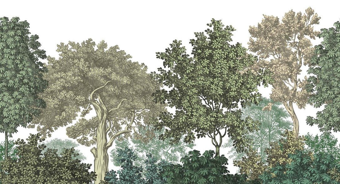Landscape wallpaper forest engraving