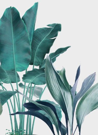 Panoramic tropical banana wallpaper