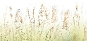 Gradient wheat field flower wallpaper