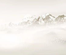 Mont Blanc moon and bird wallpaper